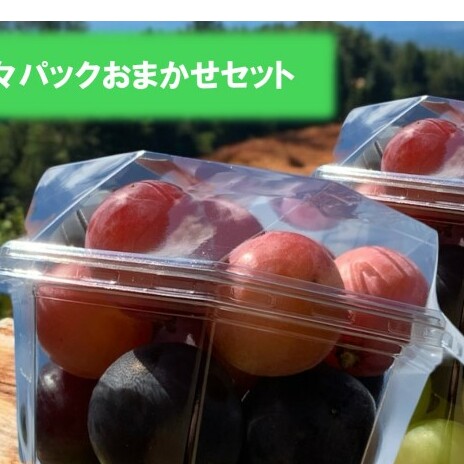 ぶどう 訳あり ご家庭用 ニュー ピオーネ オーロラブラック 巨峰 ゴールドフィンガー マスカサーティーン クイーンニーナ 粒々パックおまかせセット 葡萄 フルーツ 岡山 高梁市産 こあに葡