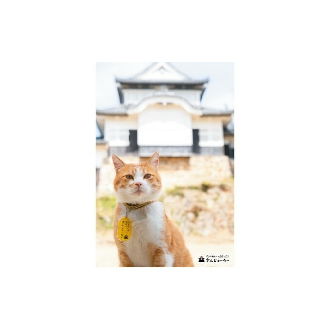 備中松山城 猫 城主『さんじゅーろー』ポストカード 10枚セット 雑貨 文房具 猫グッズ 岡山県高梁市10000衣類・装飾品・工芸品その他 装飾品・工芸品