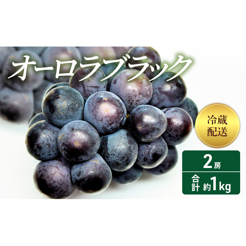 2025年 先行予約 オーロラブラック2房 合計約1kg 冷蔵配送 ぶどう 葡萄 フルーツ 果物 岡山 岡山のぶどう 食後 デザート 産地直送 大粒 爽やか 食べやすい 岡山県高梁市18000果物・フルーツマス