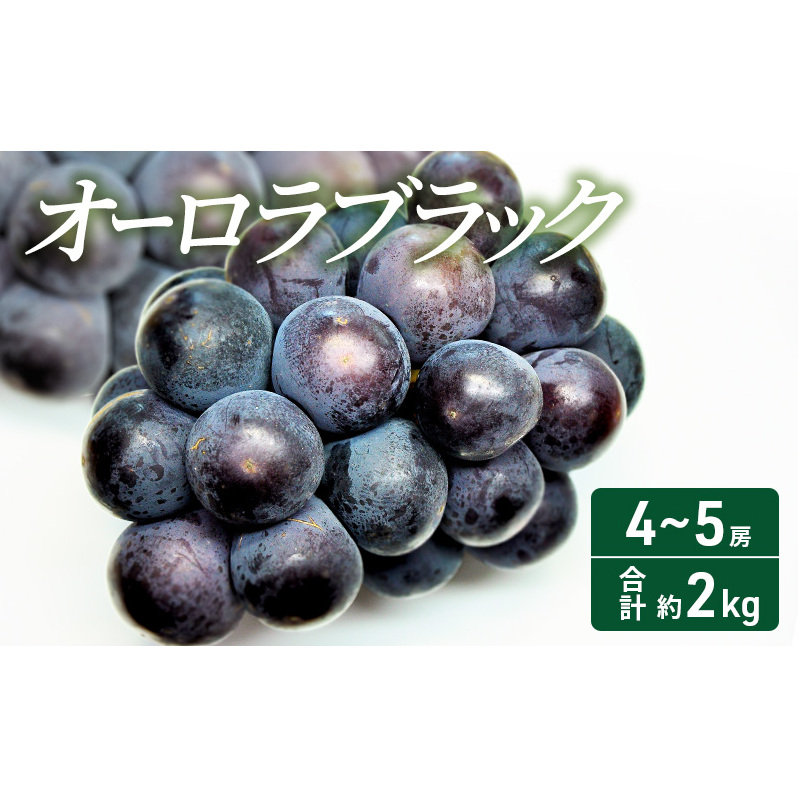 2025年 先行予約 オーロラブラック 4〜5房 合計約2kg 常温配送 ぶどう 葡萄 フルーツ 果物 岡山 岡山のぶどう 食後 デザート 産地直送 大粒 爽やか 食べやすい 岡山県高梁市29000果物・フルーツ