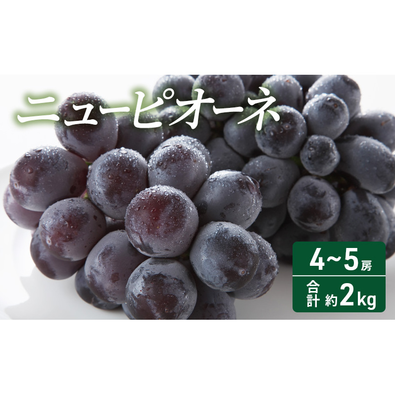 2025年 先行予約 ニューピオーネ 4〜5房 合計約2kg 常温配送 ぶどう 葡萄 フルーツ 果物 岡山 岡山のぶどう 食後 デザート 産地直送 大粒 食べ応え ちょうどよい甘さ 種無し 岡山県高梁市20000果