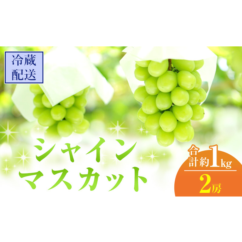 2025年 先行予約 シャインマスカット 2房 合計約1kg 冷蔵配送 ぶどう 葡萄 フルーツ 果物 岡山 岡山のぶどう 岡山の果物 食後 デザート 産地直送 大粒 皮ごと 種無し 岡山県高梁市18000果物・フ