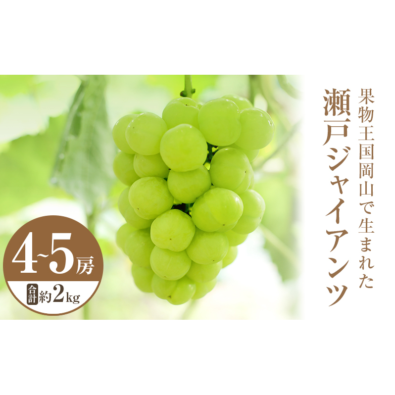 2025年 先行予約 瀬戸ジャイアンツ 4〜5房 合計約2kg 常温配送 ぶどう 葡萄 フルーツ 果物 岡山 岡山のぶどう 食後 デザート 産地直送 皮ごと 酸味が少ない 爽やか 甘い 岡山県高梁市33000果物・