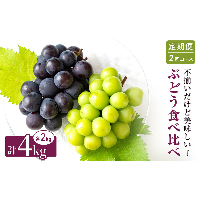 ぶどう 定期便 2回コース 食べ比べ ピオーネ シャインマスカット 各約2kg ご家庭用 辻葡萄園 葡萄 フルーツ 果物 岡山県産 岡山のぶどう 食後 デザート おやつ ぶどう食べ比べ 岡山県高梁市34