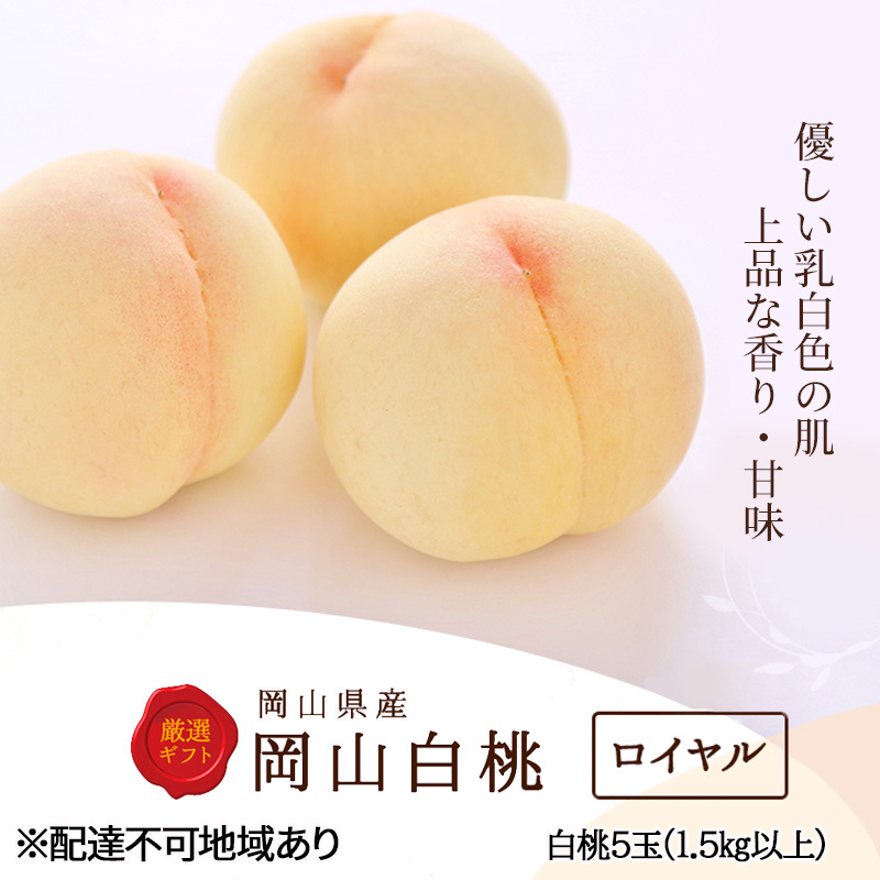 桃 2026年 先行予約 白桃 5玉 (1.5kg以上) 等級:ロイヤル 木箱入り もも モモ 岡山県産 国産 フルーツ 果物 セット ギフト 岡山県高梁市50000果物・フルーツもも・すもも