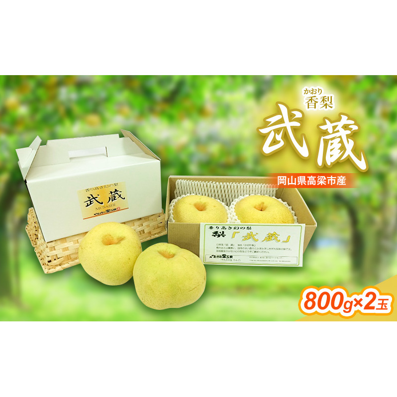 早期受付 香梨 武蔵 約800g×2玉 岡山 和梨 梨 なし ナシ 新興 幸水 果物 フルーツ 岡山県高梁市8000果物・フルーツりんご・梨
