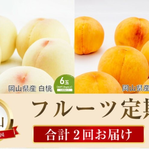 桃 定期便 2026年 先行予約 晴れの国 岡山 の フルーツ 定期便 2回コース 桃食べ比べ 岡山県産 国産 セット ギフト岡山県高梁市54000果物・フルーツもも・すもも