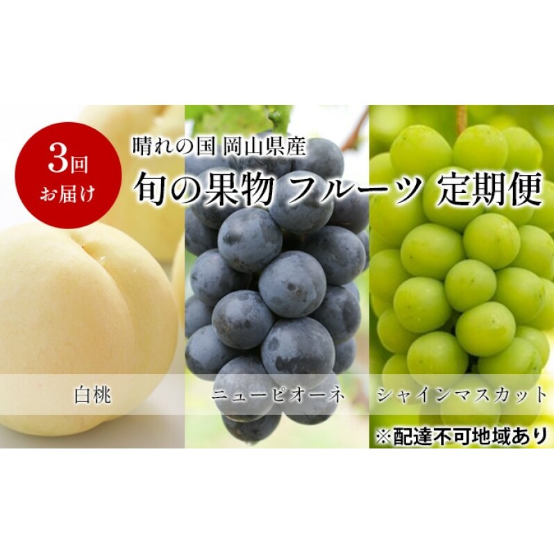 フルーツ 定期便 【2026年 先行予約】 晴れの国 旬の 果物 3回お届け便 岡山 白桃 2kg(5玉〜7玉) ニュー ピオーネ 4房2kg以上  シャインマスカット 4房(2.4kg以上) 岡山県産 国産 セット ギフト岡山