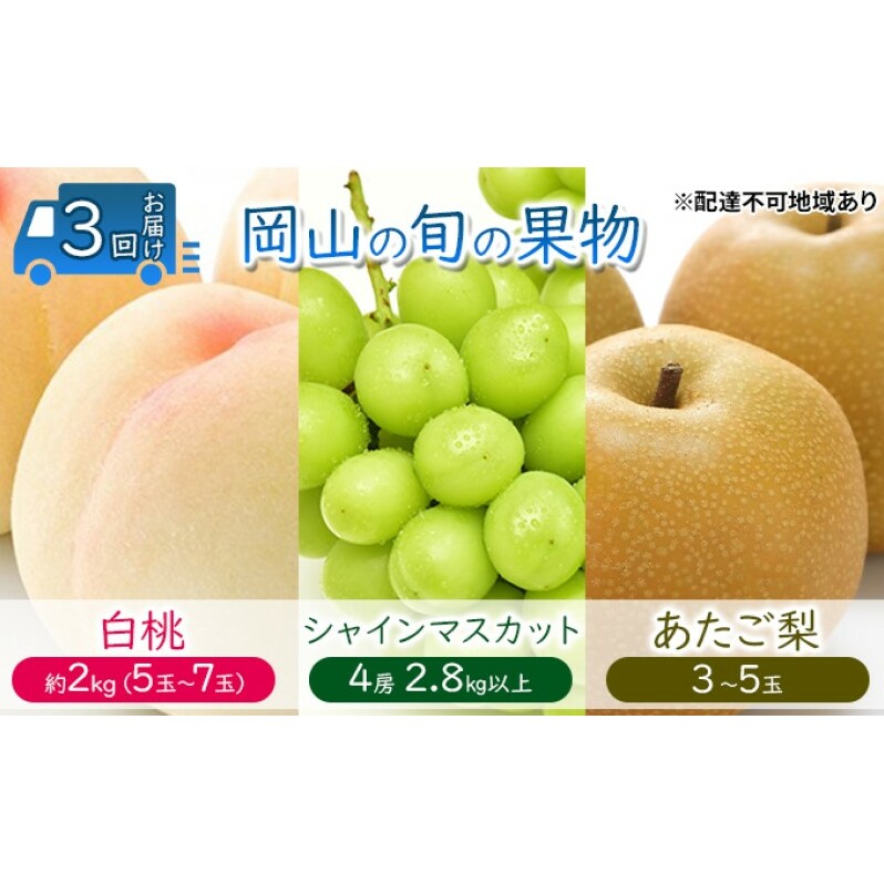 t[c  y2025N s\z  Ԃǂ  3񂨓͂  2kg(5ʁ`7) VC}XJbg 4[2.8kgȏ  (3`5)  RY Y Zbg MtgRs123000ʕ