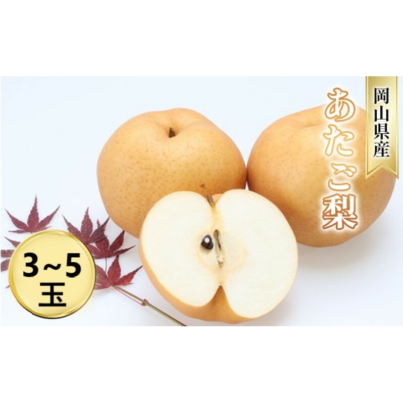 なし【2025年 先行予約】 梨 あたご梨 (3〜5玉) 岡山県産 国産 フルーツ 果物 ギフト岡山県高梁市28000果物・フルーツりんご・梨