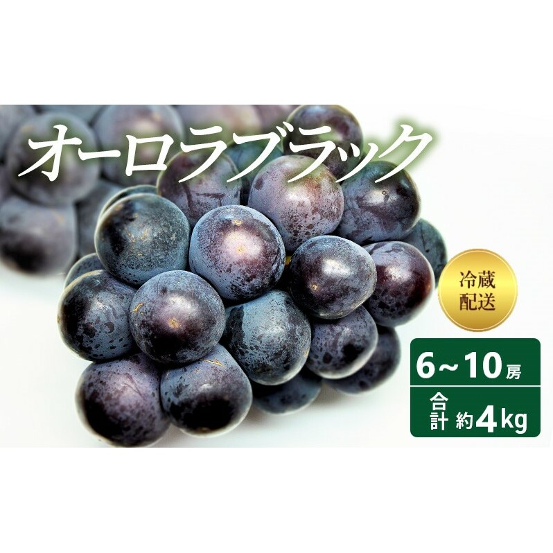 【2025年 先行予約】 オーロラブラック 6〜10房 合計約4kg 冷蔵配送 ぶどう 葡萄 フルーツ 果物 岡山 高梁市岡山県高梁市54000果物・フルーツマスカット・ぶどう