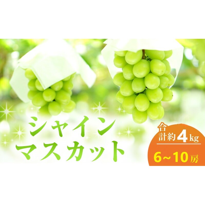 【2025年 先行予約】 シャインマスカット 6〜10房 合計約4kg 常温配送 ぶどう 葡萄 フルーツ 果物 岡山 高梁市岡山県高梁市52000果物・フルーツマスカット・ぶどう