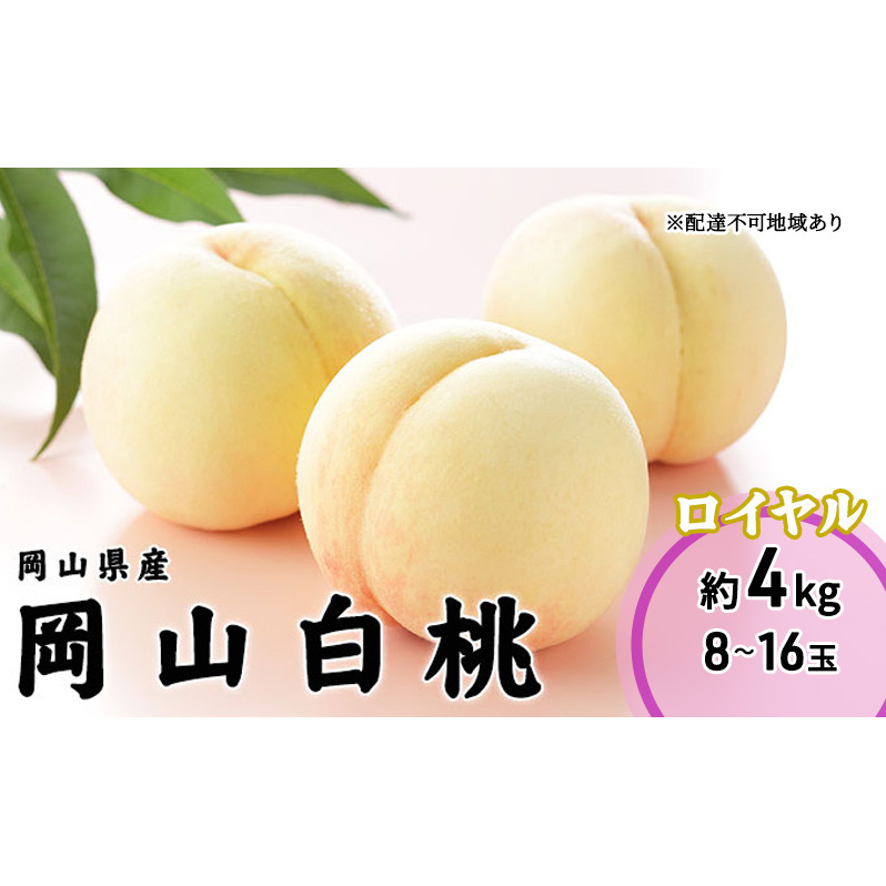 桃 2026年 先行予約 岡山 白桃 ロイヤル 8〜16玉 4.0kg 岡山県産 JAおかやまのもも  モモ 岡山県産 国産 フルーツ 果物 ギフト岡山県高梁市45000果物・フルーツもも・すもも