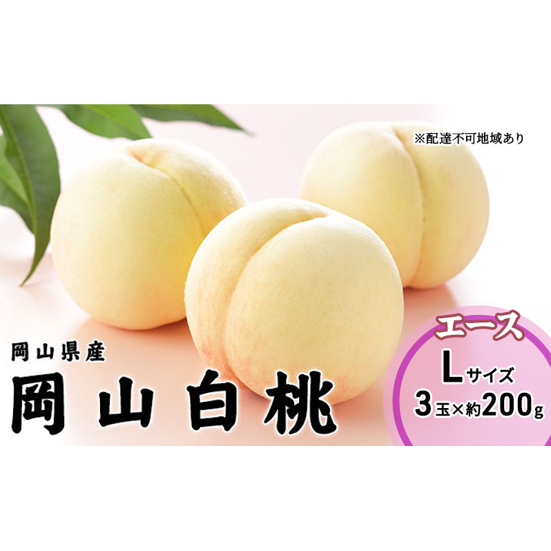 桃 2026年 先行予約 岡山 白桃 エース 3玉×200g(Lサイズ) 岡山県産 JAおかやまのもも  モモ 岡山県産 国産 フルーツ 果物 ギフト岡山県高梁市12000果物・フルーツもも・すもも