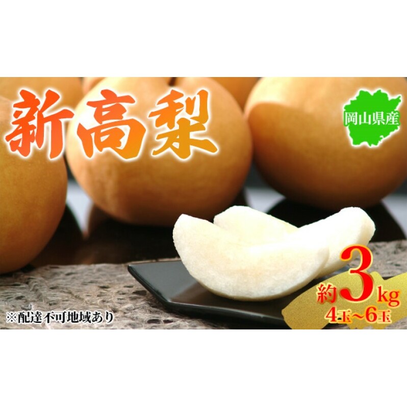 梨 2025年先行予約 岡山県産 新高梨 約3kg 4〜6玉 お届け 10月中旬〜11月中旬岡山県高梁市13000果物・フルーツりんご・梨