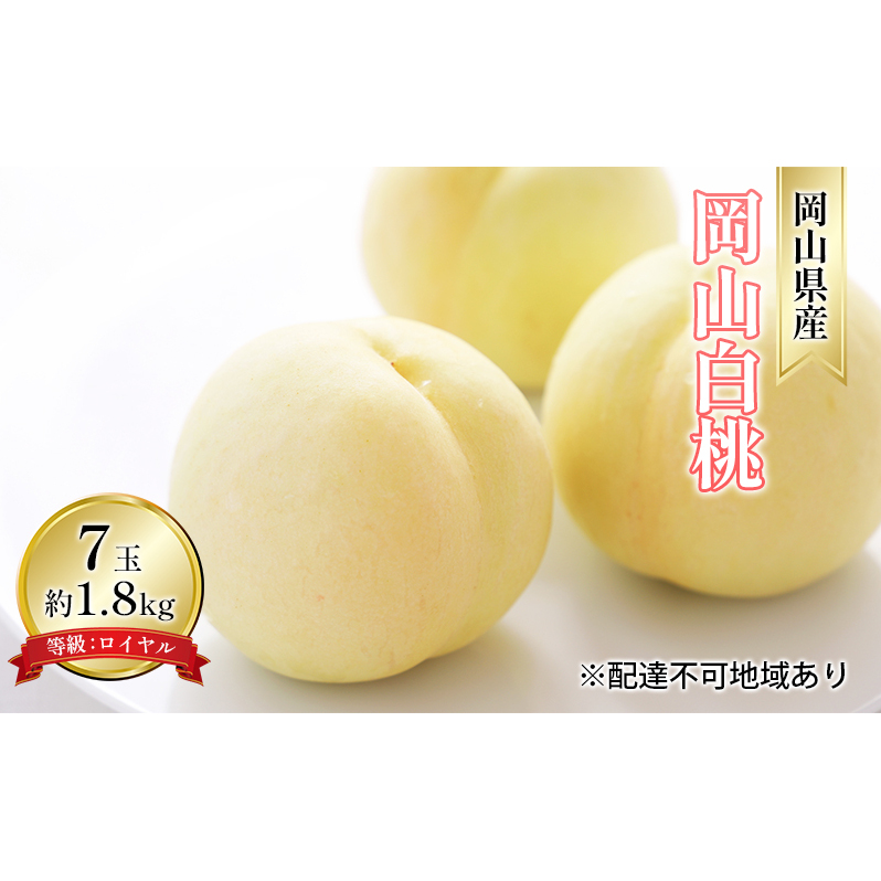  2026N s\ R  7 1.8kg FCi1 260gȏj   RY Y t[c ʕ Mtg fU[g R̓Rs28000ʕEt[cE