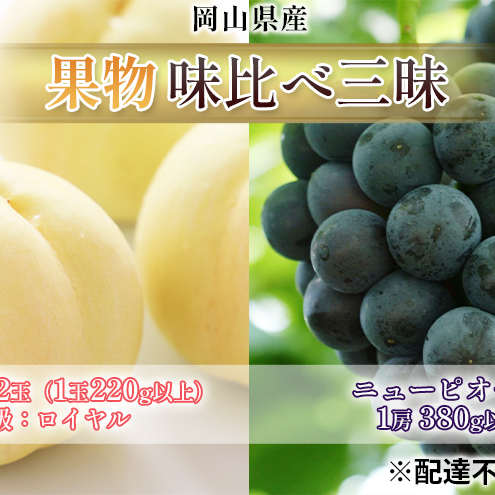 桃 ぶどう 2026年 先行予約 果物 味比べ三昧 岡山 白桃 2玉 等級:ロイヤル(1玉220g以上)ニュー ピオーネ 1房 380g以上 詰合せ もも 葡萄 岡山県産 国産 フルーツ 果物 ギフト 岡山の桃 岡山の