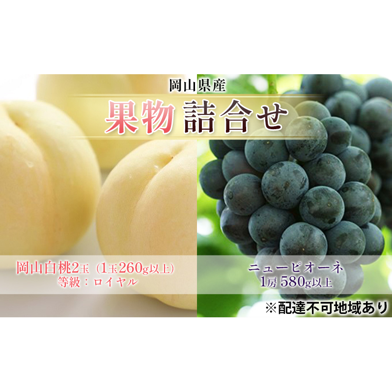 ぶどう 2025年 先行予約 果物 詰合せ 岡山 白桃 2玉 等級:ロイヤル(1玉260g以上) ニュー ピオーネ  1房 580g以上 もも 葡萄 岡山県産 国産 フルーツ 果物 ギフト岡山県高梁市26000果物・フルー
