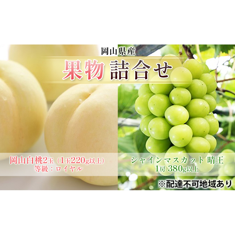 Ԃǂ 2025N s\ ʕ l R  2 FCi1220gȏj VC }XJbg  1[ 380gȏ   RY Y t[c ʕ MtgRs22000ʕ