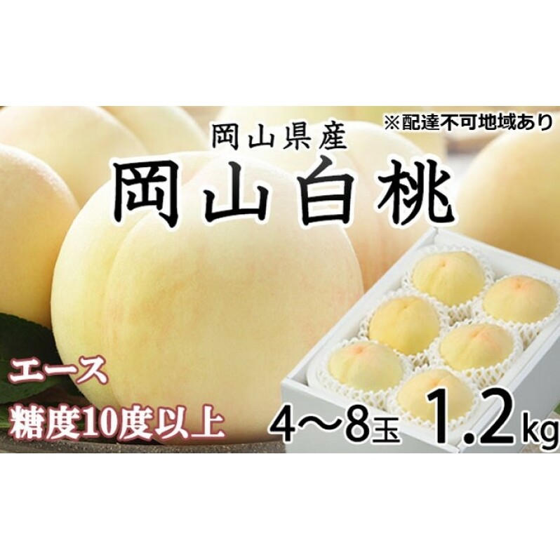 桃 2026年 先行予約 岡山 白桃 エース4〜8玉 約1.2kg JAおかやまのもも(早生種・中生種) もも モモ 岡山県産 国産 フルーツ 果物 ギフト岡山県高梁市14000果物・フルーツもも・すもも