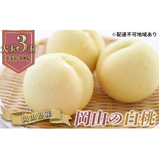 桃 2026年 先行予約 岡山の 白桃 大玉3玉(晩生種)(1玉約300g) もも モモ 岡山県産 国産 フルーツ 果物 ギフト岡山県高梁市18000果物・フルーツもも・すもも