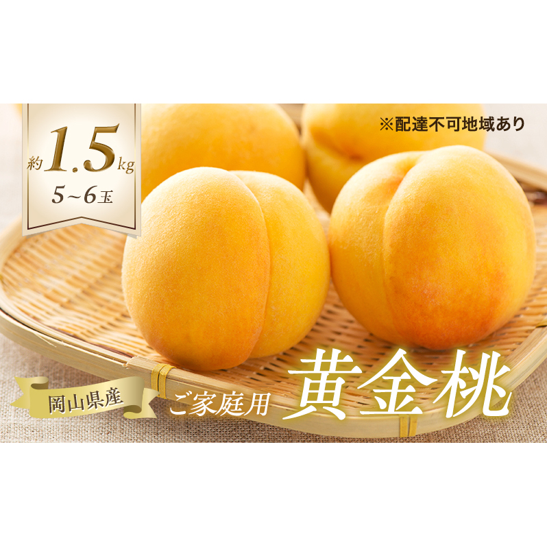 桃 2026年 先行予約 ご家庭用 黄金桃 5〜6玉 合計約1.5kg もも モモ 岡山県産 国産 フルーツ 果物 ギフト岡山県高梁市16000果物・フルーツもも・すもも