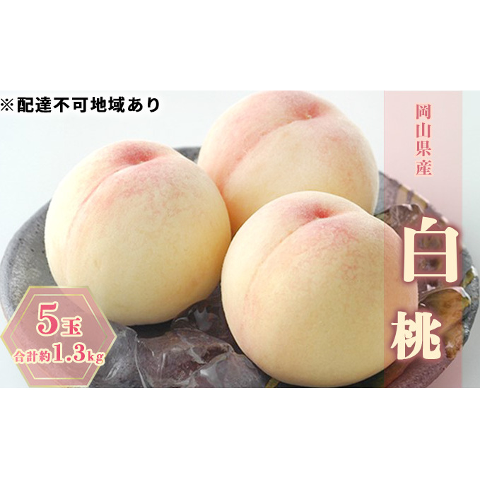 桃 2026年 先行予約 白桃 5玉 合計約1.3kg もも モモ 岡山県産 国産 フルーツ 果物 ギフト岡山県高梁市23000果物・フルーツもも・すもも
