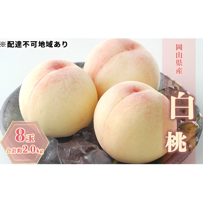 桃 2026年 先行予約 白桃 8玉 合計約2.0kg もも モモ 岡山県産 国産 フルーツ 果物 ギフト岡山県高梁市35000果物・フルーツもも・すもも