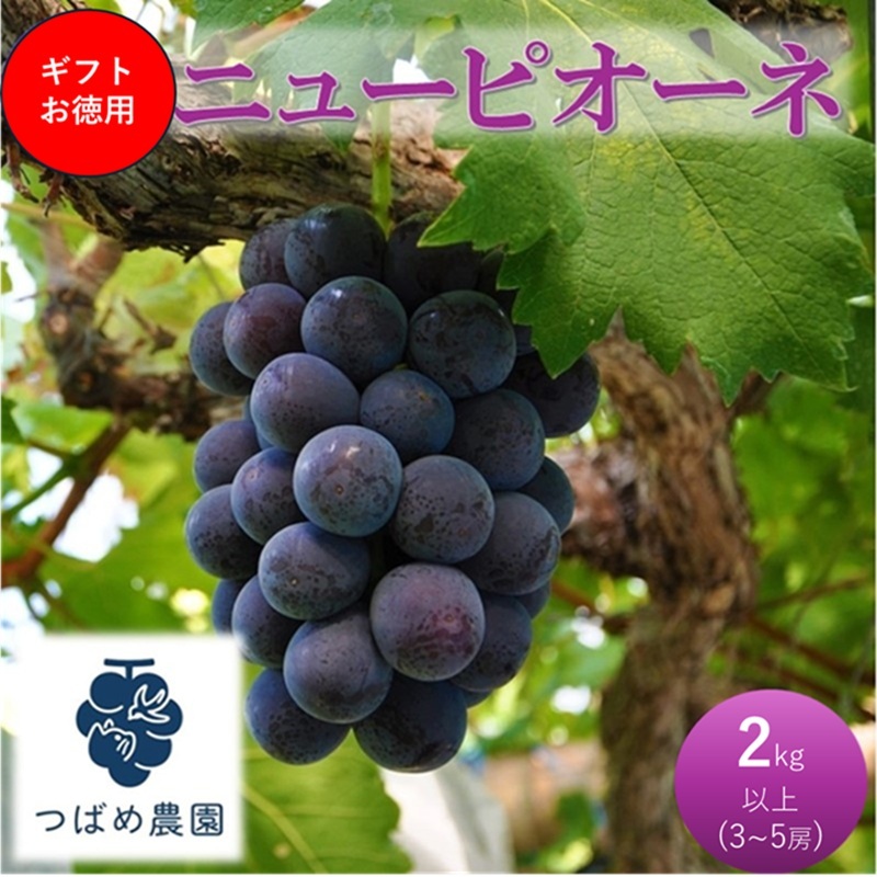 2026年 早期受付 ぶどう ギフトお徳用ニューピオーネ 2kg以上(3〜5房) 数量限定 岡山県 高梁市産岡山県高梁市17000果物・フルーツマスカット・ぶどう