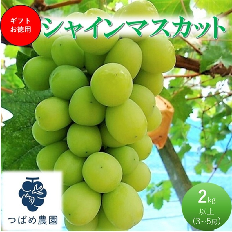 2026年 早期受付 ぶどう ギフトお徳用 シャインマスカット 2kg以上(3〜5房) 数量限定 岡山県 高梁市産岡山県高梁市23000果物・フルーツマスカット・ぶどう