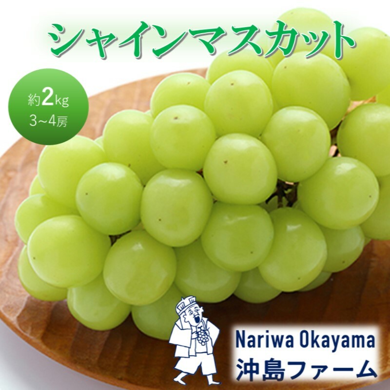 早期受付 ぶどう シャインマスカット 約2kg(3〜4房)岡山県高梁市産 沖島ファーム 化粧箱入り 葡萄 ブドウ 贈答用岡山県高梁市21000果物・フルーツマスカット・ぶどう