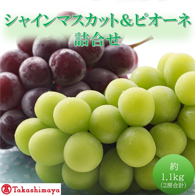 【高島屋選定品】シャインマスカット&ピオーネ詰合せ 約1.1kg(2房合計) 岡山県高梁市産 個装箱入り 葡萄 ブドウ 贈り物岡山県高梁市34000果物・フルーツマスカット・ぶどう