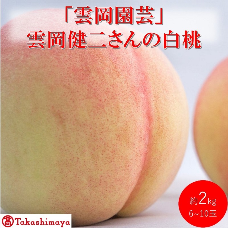 【高島屋選定品】「雲岡園芸」雲岡健二さんの白桃 6〜10玉(約2kg) もも モモ 岡山県産 国産 フルーツ 果物 ギフト岡山県高梁市49000果物・フルーツもも・すもも