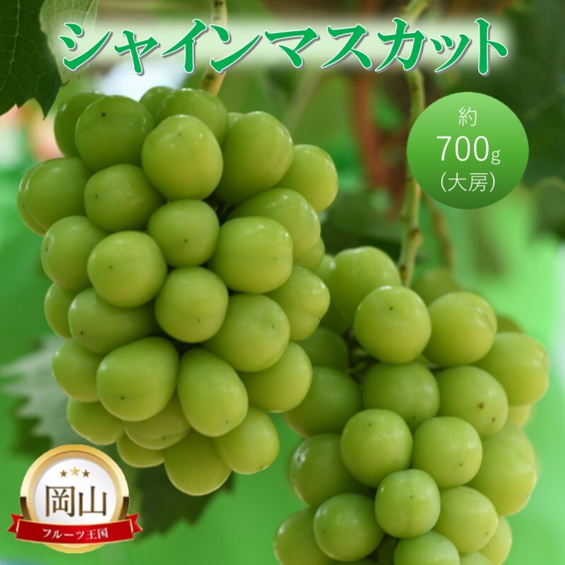 高梁市産 シャインマスカット 大房 (約700g) ぶどう ブドウ 葡萄 果物 フルーツ岡山県高梁市19000果物・フルーツマスカット・ぶどう
