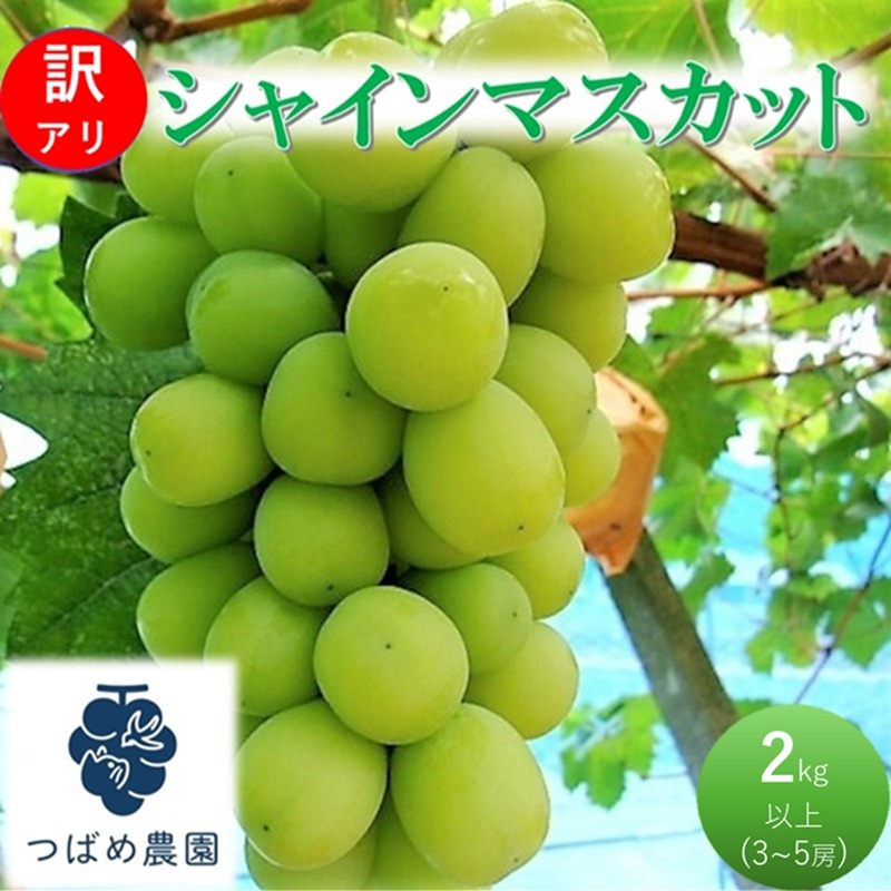 2026N t Ԃǂ 󂠂 VC}XJbg 2kgȏ(3`5[) ʌ R sYRs17000ʕEt[c}XJbgEԂǂ