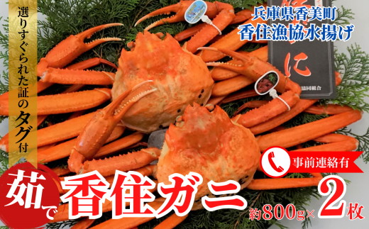 【先行予約】【香住ガニ(ボイル)大 タグ付き 約800g×2枚 冷蔵】令和7年11月以降、カニの水揚次第発送予定 漁協から配送日調整の電話が入ります タグ付きの立派なカニを自信を持って提供