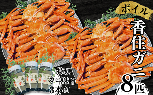 【本場香住漁港であがった!香住ガニセット8匹入り 三七十特製カニ味噌3本付 冷蔵/冷凍】カニの本場 香住産 厳選 茹で香住ガニ姿8杯入り 鮮度抜群 水揚げされたばかりの香住ガニを熟練の