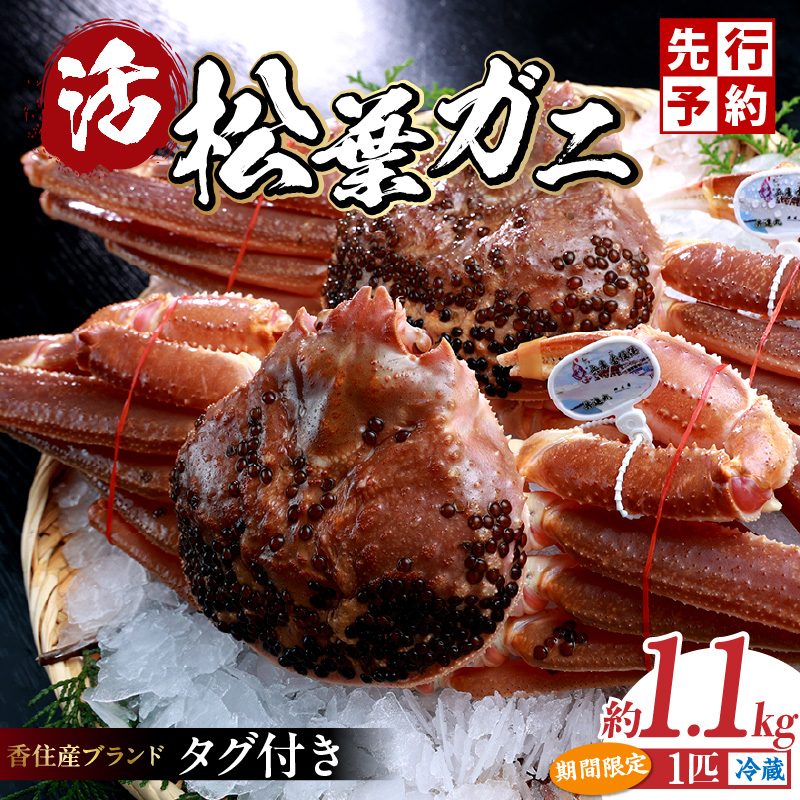 ys\zytKj ōO[h ZY ^Ot   t 1.1kg ʌ ①zߘa7N11{ȍ~\ 12`1{͔s Jj̖{ Z̑I肷 Ԃ