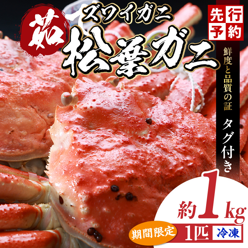 【先行予約】【松葉ガニ 最高グレード 香住産 タグ付き 釜茹で 松葉がに 約1.0kg 数量限定 冷凍】令和7年11月中旬以降発送予定 12月〜1月中旬は発送不可 カニの本場 香住の選りすぐり 番がに