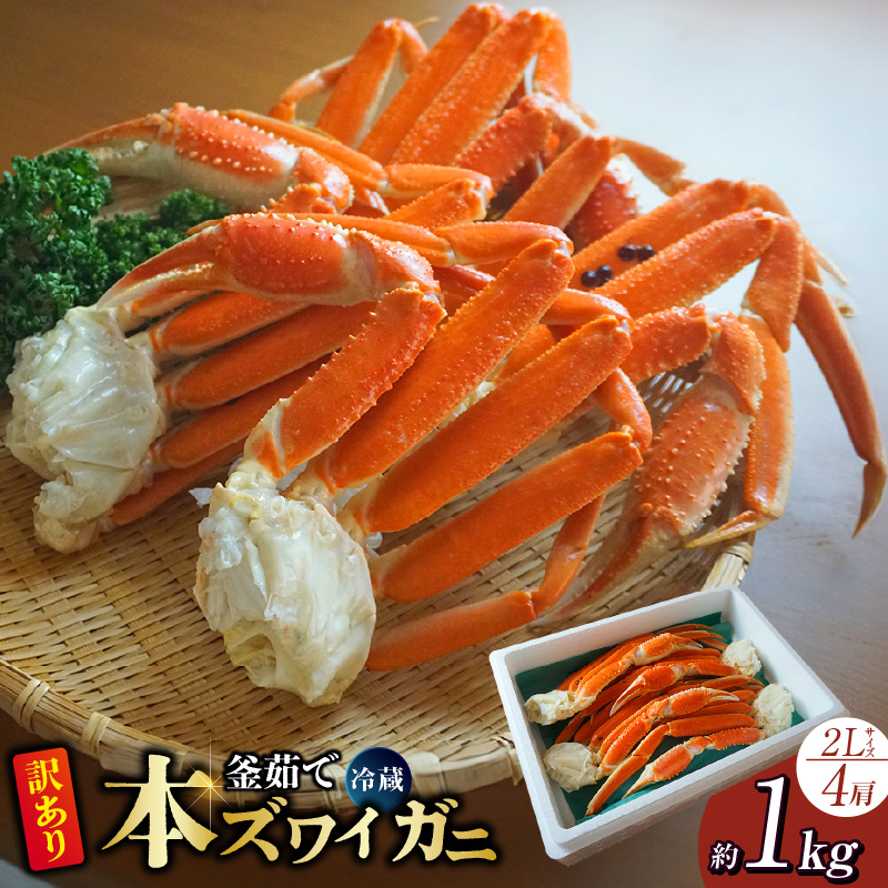 【訳あり 釜茹で 本ズワイガニ 2L 4肩 約1kg 冷蔵】ずわいがに カニ かに 蟹 チルド 蟹 カニ足 かに足 脚 肩 しゃぶしゃぶ かにすき かに鍋 ボイル ズワイガニ ずわい蟹 ズワイ蟹 カニ脚 蟹脚