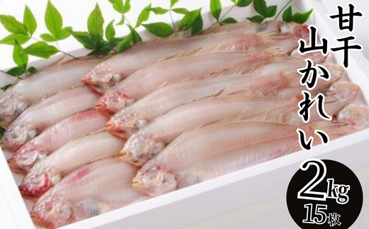【干物 甘干し山かれい2kg(15枚入り)干物の本場 香住産 冷凍】唐揚げに最適で、ポン酢との相性は抜群です。 素材の良さ抜群 伝統の技術 兵庫県 香美町 香住 柴山 大人気 ふるさと納税 蔵