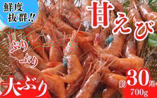 yÂ  hgp 30i700gjɌZY Ⓚ zNxQ lC ӂ邳Ɣ[   Z ĎR hg g X` CN  RA̐Ԃ {CŐgꂽNxQ̊