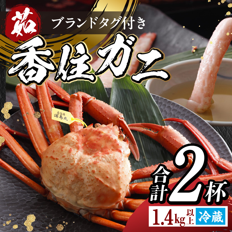 【香住ガニ タグ付き 浜茹で 700g以上×2杯 合計1.4kg以上 冷蔵】令和8年3月以降、カニの水揚げ次第順次発送予定 国産 選ばれたタグ付きの高級香住ガニです 香住カニ 香住 かに ベニズワイガ
