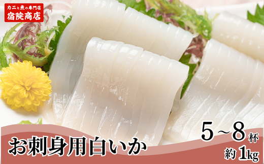 先行予約【兵庫県香住産 白いか 剣先いか お刺身用 新鮮 5〜8杯 約1kg 冷凍】令和8年6月下旬以降、順次発送予定 国産 香住 鮮度抜群 急速冷凍 産地直送 刺身 イカ焼き イカフライ 人気 おすす