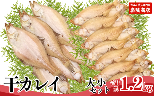 【干物 干カレイセット 合計1.2kg以上(大5〜8枚 約600g、小11〜15枚 約600g)香住産 冷凍】 ふるさと納税  南蛮漬 唐揚げ お酒のお供 日本海 香住港 柴山港 兵庫県 香美町 香住 柴山 宿院商店 1200