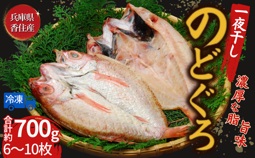 【兵庫県香住産 のどぐろ一夜干 約700g(6~10枚)】香住で水揚げ 鮮度抜群 白身魚の王様 高級魚 一夜干し 濃厚な脂 身は柔らかく 旨味が詰まった逸品 兵庫県 香美町 宿院商店 19000円 33-15兵庫