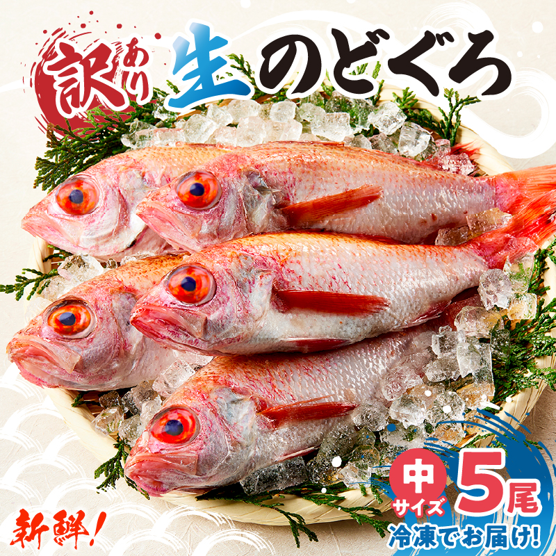 【兵庫県香住産 処理済 のどぐろ中5匹 1匹約150g前後 計約700〜800g 冷凍】令和8年3月下旬以降、順次発送予定 日本海 鮮度抜群 生冷凍 急速冷凍 白身のトロ ノドグロ 国産 産地直送 兵庫県 香美