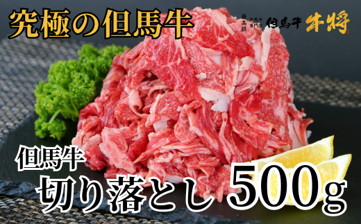 但馬牛 切り落とし 500g 02-02兵庫県香美町10000肉牛肉