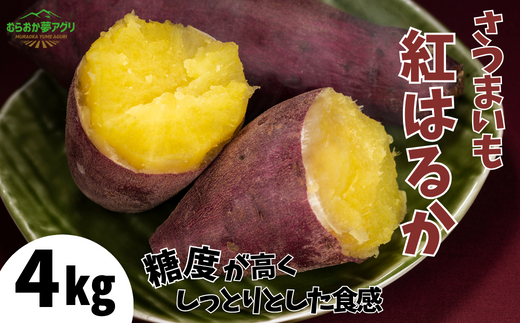 【先行予約】【さつまいも 紅はるか 4kg】10月から12月にかけて配送予定 農薬不使用 サツマイモ イモ いも しっとり 兵庫県 香美町  野菜 村岡 むらおか夢アグリ 13000円 41-14兵庫県香美町13000
