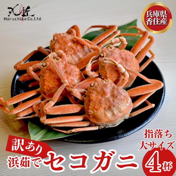 【先行予約】【訳あり 浜茹で セコガニ 香住産 大サイズ4匹入り 冷蔵】11月中旬以降順次発送 カニの本場 香住 濃厚なかにミソとやみつきになる内子、外子が絶品です 訳あり理由:指落ち1